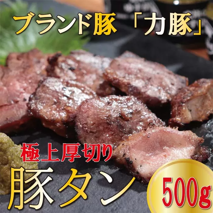 国産 豚肉 豚タン 500g ブランド豚 力豚 厚切りスリット入り｜りきぶた タン 柔らかい 焼肉 焼肉用 BBQ バーベキュー ご当地グルメ 真空パック 冷凍 おつまみ 晩酌 ホルモン お取り寄せ グルメ ギフト 贈答用 高知県 大月町産