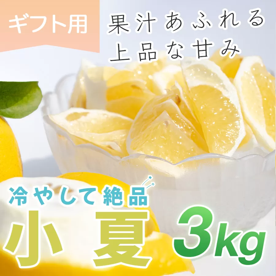 小夏 3kg 贈答 ギフト用  日向夏 ニューサマーオレンジ 柑橘 みかん ノーワックス こなつ くだもの 果物 産直 旬の果物 お取り寄せ 産地直送 フルーツ 爽やか スッキリ 甘い 高知県 大月町産 コーラルフルーツ農場