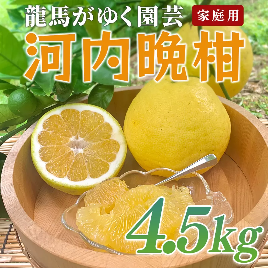 河内晩柑 4.5kg （M～5L） 【家庭用】 ばんかん 晩柑 バンカン 夏文旦  みかん 蜜柑 柑橘 フルーツ 果物 サイズミックス 初夏 夏 ジュース お酒 贈答用 ギフト お取り寄せ ビタミン 高知県 大月町 龍馬がゆく園芸