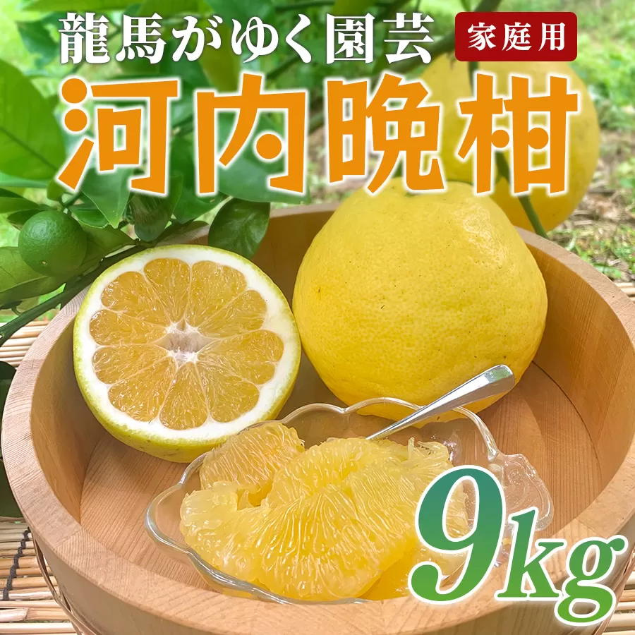 河内晩柑 9kg （M～5L） 【家庭用】 大容量 ばんかん 晩柑 バンカン 夏文旦 みかん 蜜柑 柑橘 フルーツ 果物 サイズミックス 初夏 夏 ジュース お酒 贈答用 ギフト お取り寄せ ビタミン 高知県 大月町 龍馬がゆく園芸