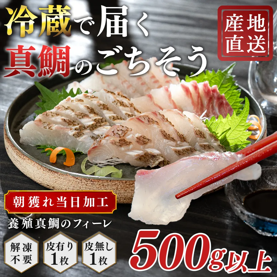 朝獲れ 真鯛 フィーレ 皮付き 皮なし 500g以上 刺身 冷蔵 養殖 たい タイ マダイ セット 真空パック 産地直送 当日発送 鮮度抜群 鯛めし 鯛丼 カルパッチョ お取り寄せ ギフト 贈答 はやぶさ水産 四国 高知県 大月町 柏島産