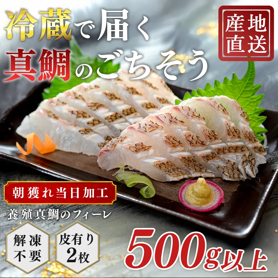 朝獲れ 真鯛 フィーレ 皮付き 500g以上 刺身 冷蔵 養殖 たい タイ マダイ セット 真空パック 産地直送 当日発送 鮮度抜群 鯛めし 鯛丼 カルパッチョ 塩焼き お取り寄せ ギフト 贈答 はやぶさ水産 高知県 大月町 柏島産