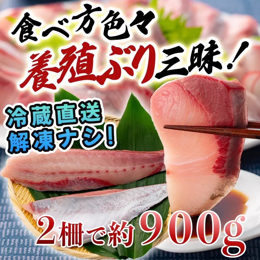 【高知県 大月町産】うみのファームぶり（柵２本セット）