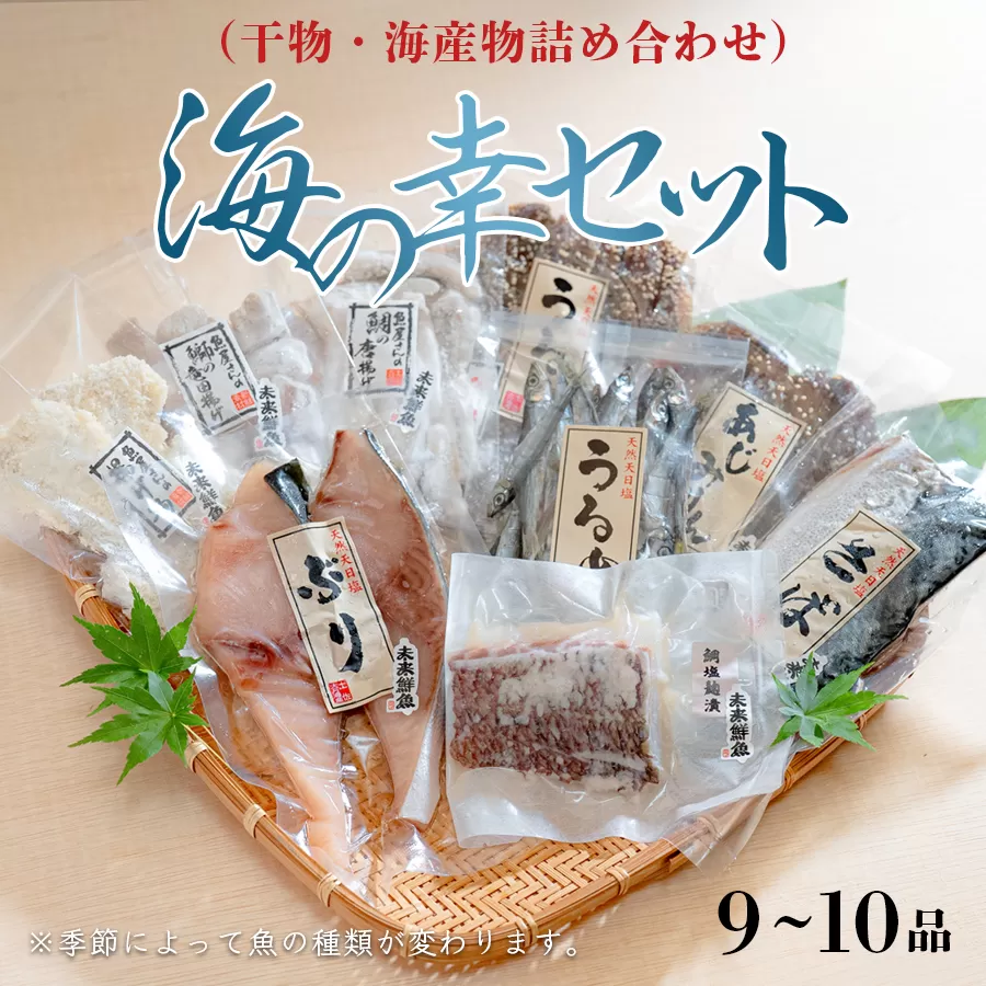海の幸セット(干物・海産物詰め合わせ)　9～10品