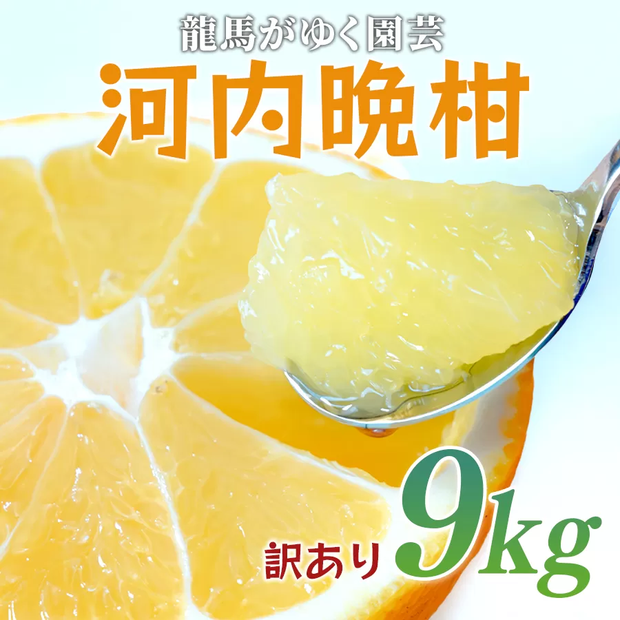 【訳あり】 河内晩柑 9kg （M～5L） 大容量 ばんかん 晩柑 バンカン 夏文旦 家庭用 みかん 蜜柑 柑橘 フルーツ 果物 サイズミックス 初夏 夏 ジュース お酒 お取り寄せ ビタミン 高知県 大月町 龍馬がゆく園芸