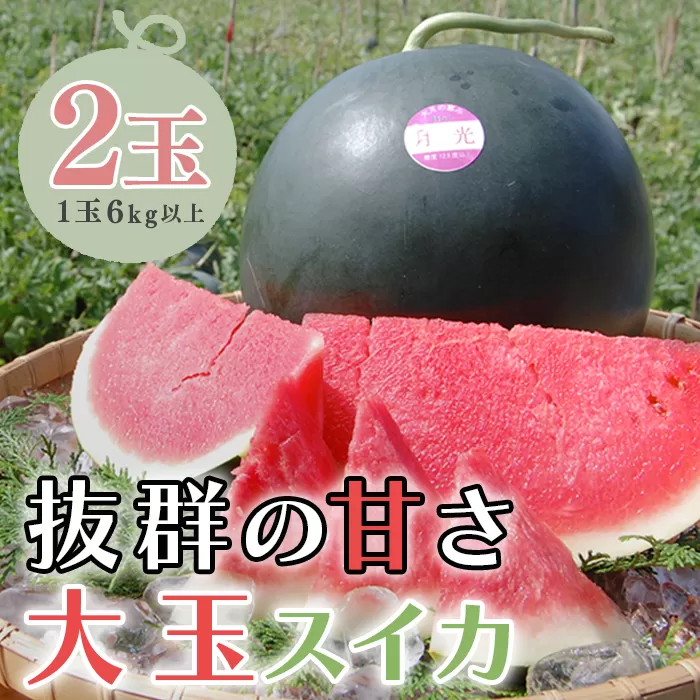 抜群の甘さ！ スイカ 2玉 大玉 (6kg以上) 甘い 高糖度 西瓜 すいか 種なし 縞スイカ 黒玉 ギフト お中元 御中元 産地直送 旬 果物 フルーツ 取り寄せ ねばねばファーム 高知県 大月町産