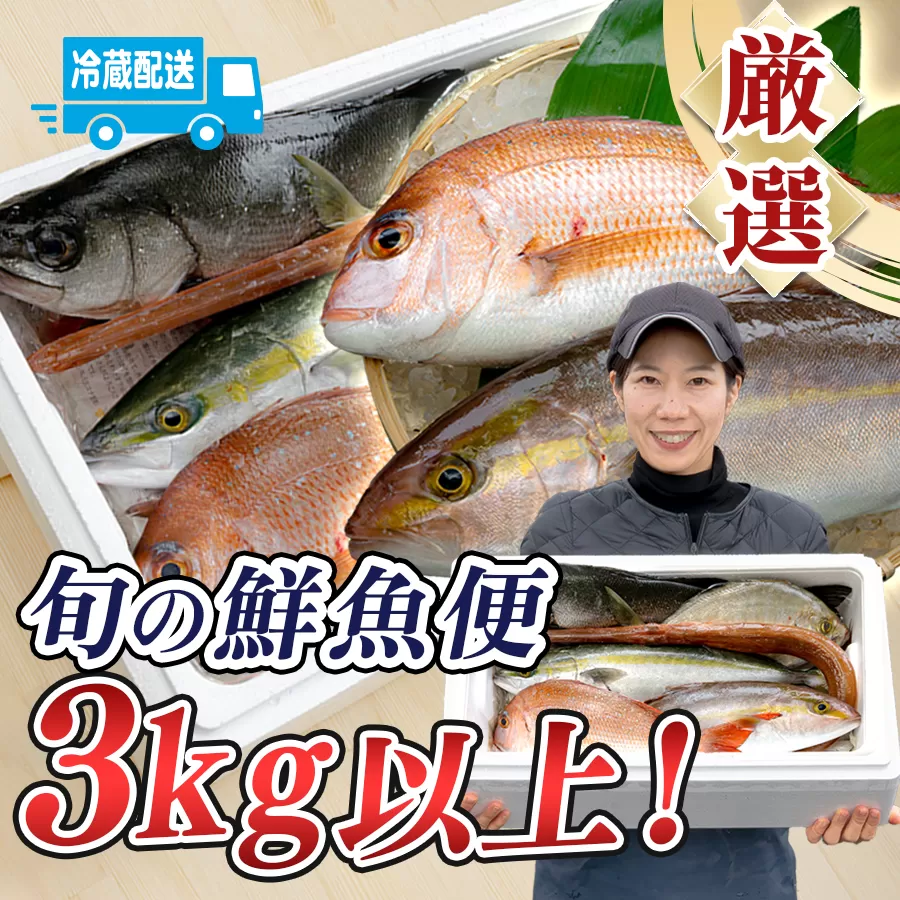 鮮魚 3kg～ 鮮魚ボックス 詰め合わせ 刺身 刺し身 さしみ 海鮮丼 寿司 鮮度抜群 産地直送 海の幸 海鮮 魚介 新鮮 厳選 ギフト お取り寄せ おすすめ 人気 お中元 お歳暮 高知県産