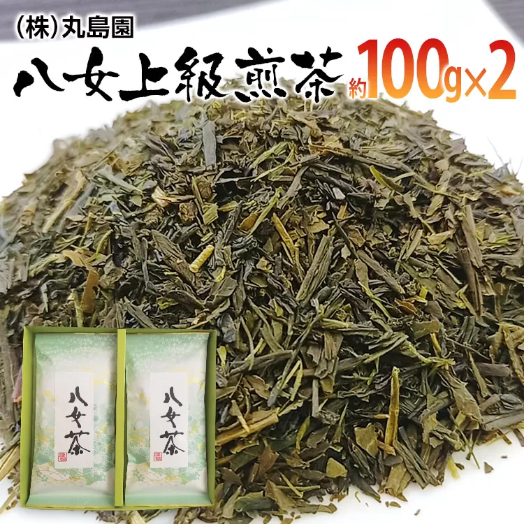 八女上級煎茶(約100g×2)【田川市】