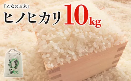 令和6年産「乙女のお米」ヒノヒカリ　１０kg