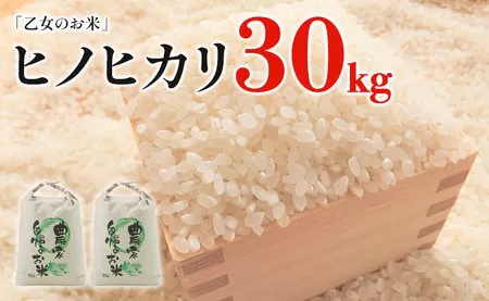 令和6年産「乙女のお米」ヒノヒカリ　30kg
