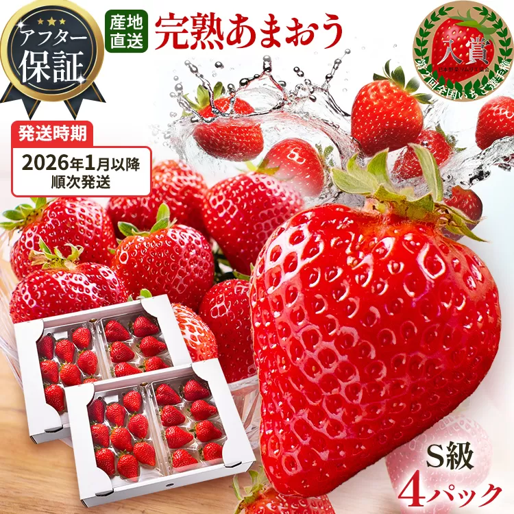アフター保証 あまおう 8〜9粒入り×4パック 【先行受付／2026年1月以降順次発送予定】いちご 大粒 不揃い DX デラックス エクセレント 苺 イチゴ 福岡高級 フルーツ 土産 福岡県