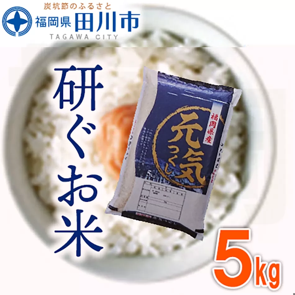 福岡県産元気つくし 5kg×1