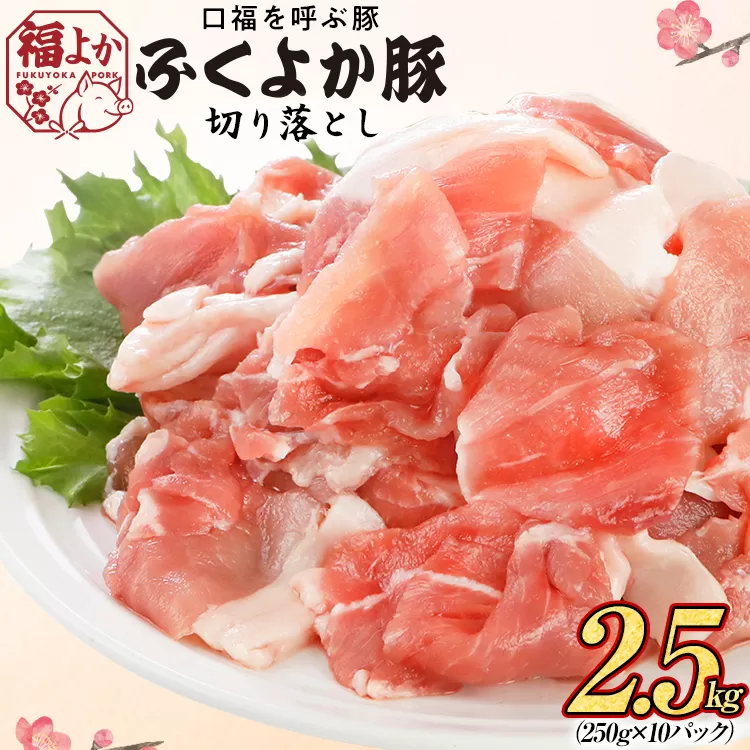 豚肉 ふくよか豚 切り落とし 2.5kg（250g×10パック） モモ ウデ モモ肉 ウデ肉 小分け 真空パック ブタ肉 ぶた肉 生姜焼き 焼きそば 豚汁 冷凍 福岡県 福岡 九州 グルメ お取り寄せ