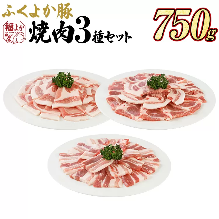 豚肉 焼肉 ふくよか豚 焼肉3種セット 750g ロース 肩ロース バラ ロース肉 肩ロース肉 バラ肉 小分け ブタ肉 ぶた肉 生姜焼き 豚丼 冷凍 福岡県 福岡 九州 グルメ お取り寄せ