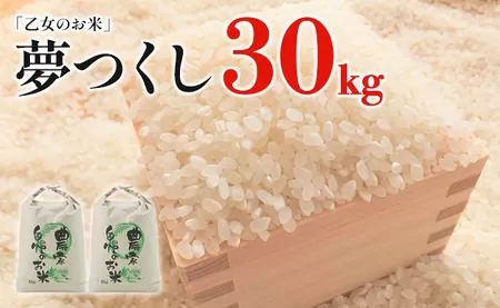 令和6年産「乙女のお米」夢つくし　３０kg