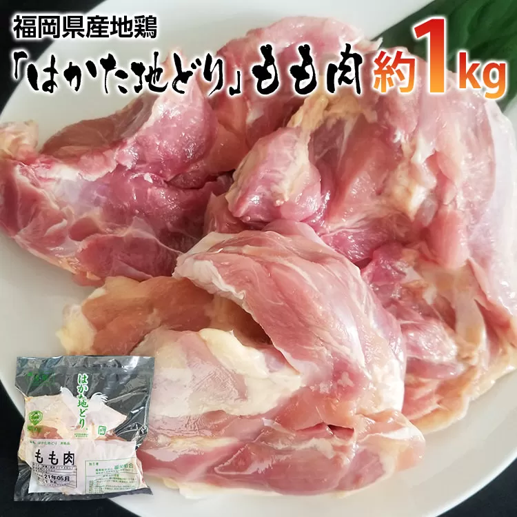 福岡県産地鶏「はかた地どり」もも肉(約1kg)【田川市】
