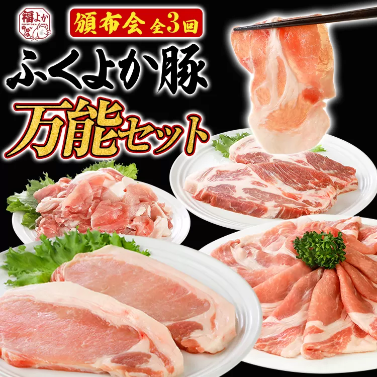 【頒布会】豚肉 切り落とし しゃぶしゃぶ ステーキ ふくよか豚 万能セット 定期便 ロース 肩ロース バラ モモ ヒレ 小分け ブタ肉 ぶた肉 冷凍 福岡県 福岡 九州 グルメ お取り寄せ