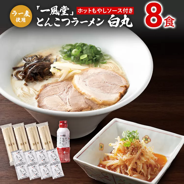 ラー麦使用「一風堂」とんこつラーメン 白丸(8食)【ホットもやしソース付き】