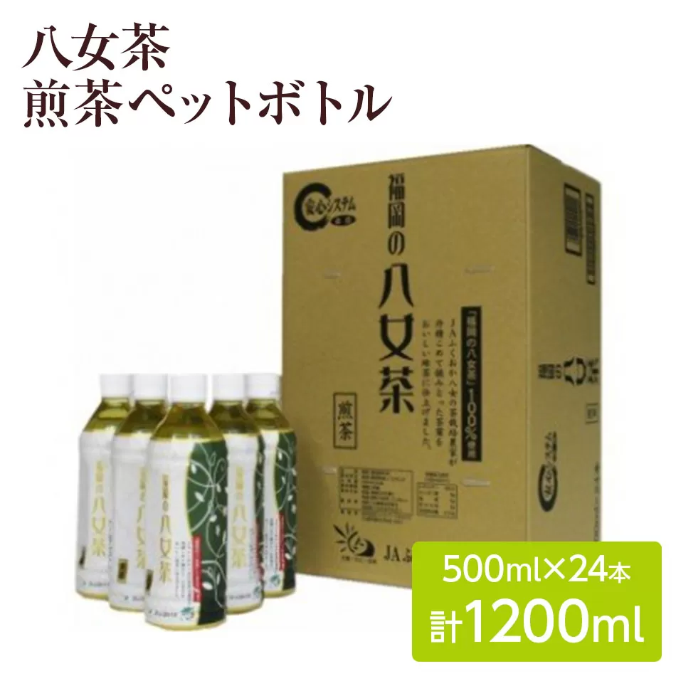 八女茶 煎茶ペットボトル 500ml×24本