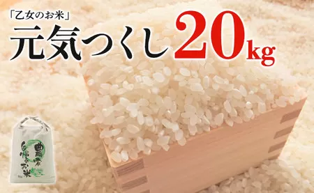 令和6年産「乙女のお米」元気つくし　２０kg