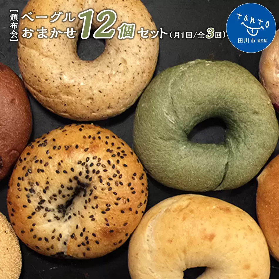 ［定期便］ベーグルおまかせ12個セット（月1回／全3回）