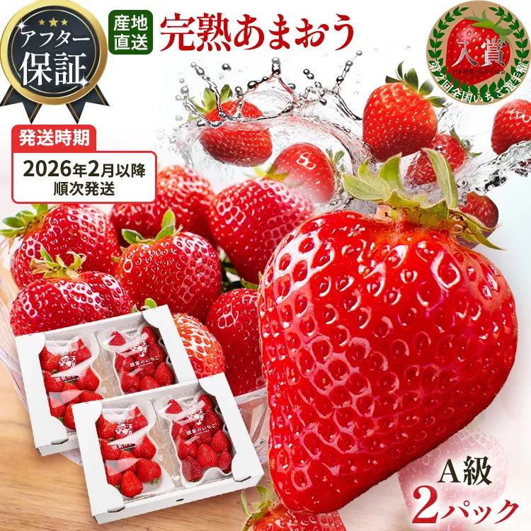 アフター保証 あまおう 約550g（約275g×2パック）【先行受付／2026年2月以降順次発送予定】いちご 大粒 不揃い 苺 イチゴ 福岡高級 フルーツ 土産 福岡県