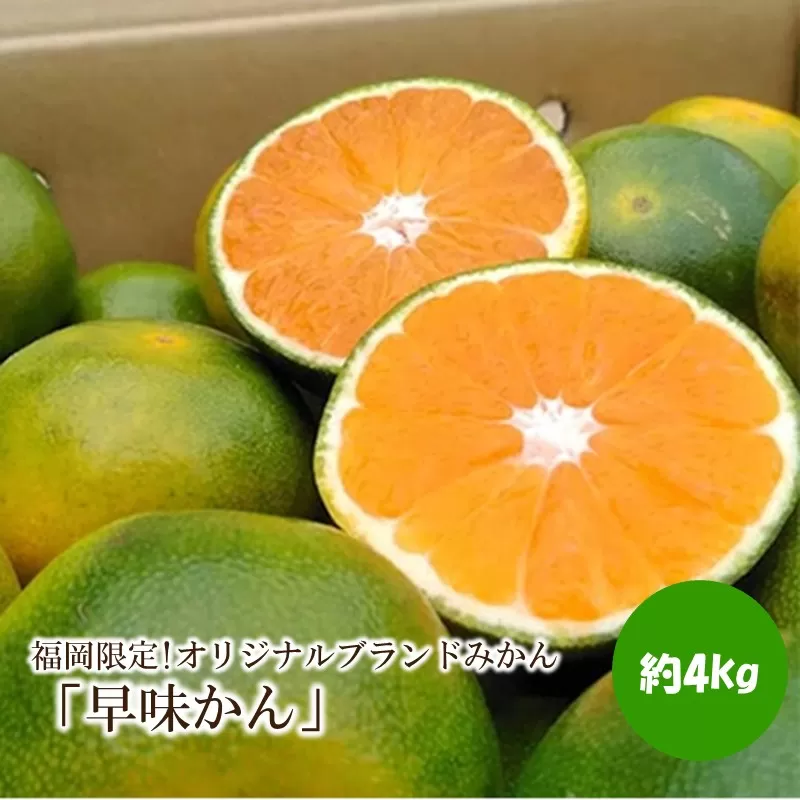 福岡限定!オリジナルブランドみかん「早味かん」約4kg【011-0099】