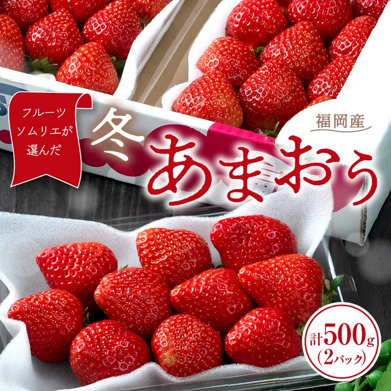 フルーツソムリエが選んだ福岡産【冬】あまおう2パック【011-0088】