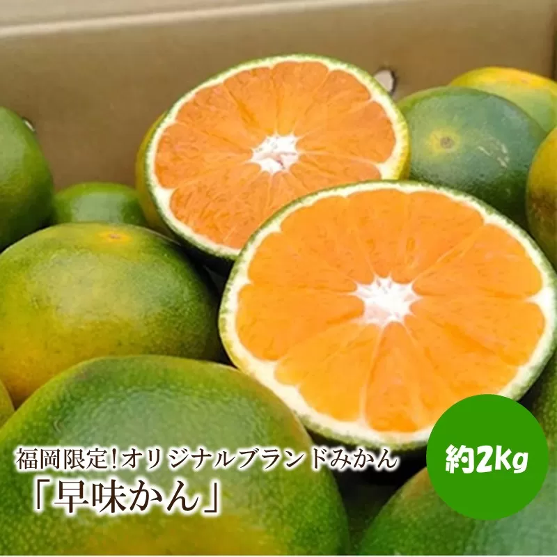 福岡限定!オリジナルブランドみかん「早味かん」約2kg【011-0098】