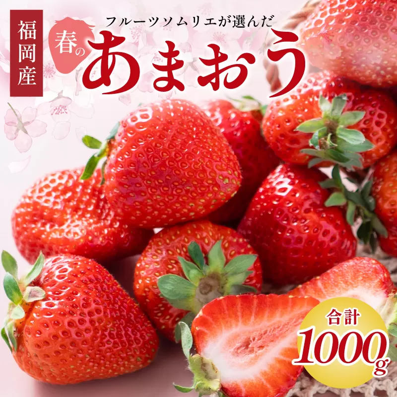 フルーツソムリエが選んだ福岡産【春】あまおう4パック【011-0073】