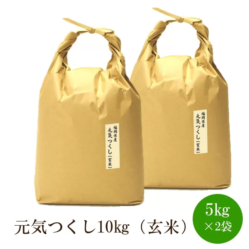 福岡県産【特A】評価のお米「元気つくし」5kg×2袋[10kg][玄米]【059-0068】