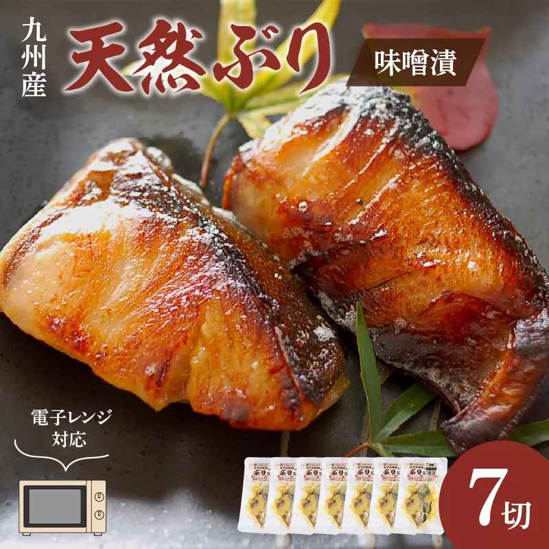 九州産天然ぶり味噌漬7切　電子レンジ対応【001-0065】