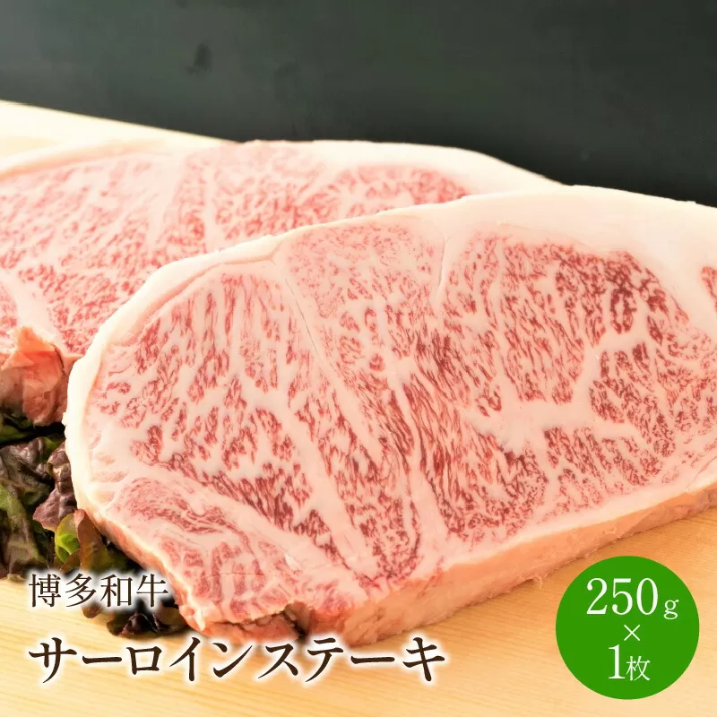 博多和牛サーロインステーキ　250g[250g×1枚]【014-0029】