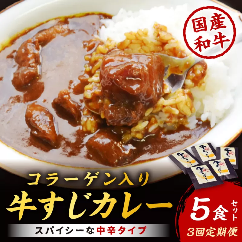 【3回定期便】ゴロッ!と入ったコラーゲン博多和牛　牛すじカレー5食セット【001-0386】