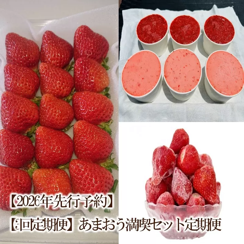 【2026年先行予約】【3回定期便】あまおう満喫セット定期便【044-0072】