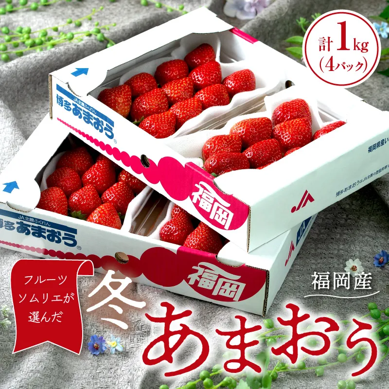 フルーツソムリエが選んだ福岡産【冬】あまおう4パック【011-0089】