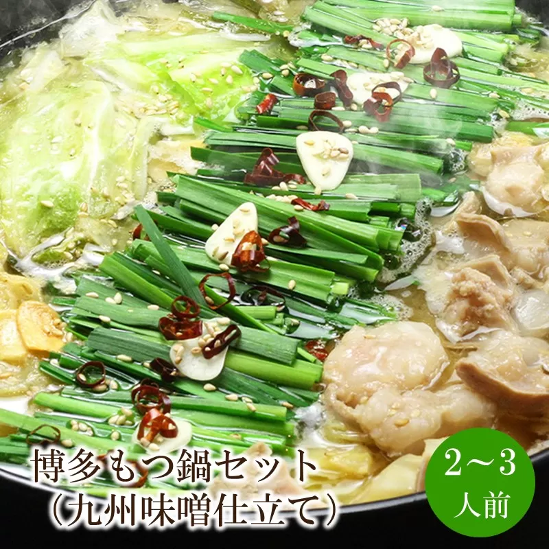 博多もつ鍋セット(九州味噌仕立て)2～3人前【059-0070】