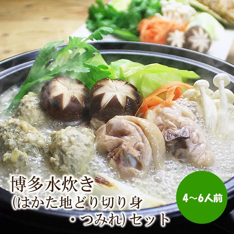 博多水炊き(はかた地どり切り身・つみれ)セット4～6人前【059-0073】