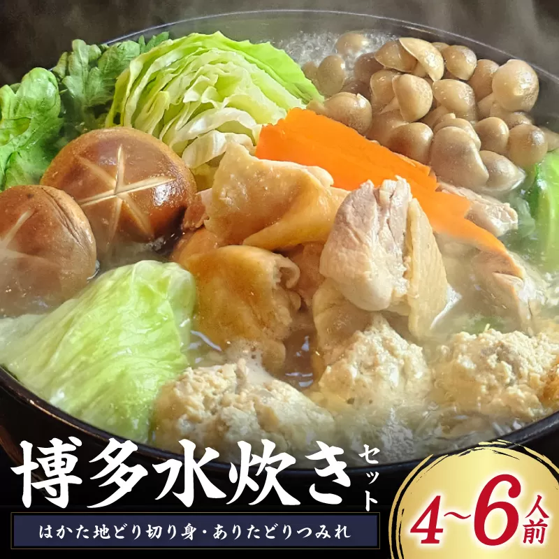 博多水炊き(はかた地どり切り身・つみれ)セット4～6人前【059-0073】