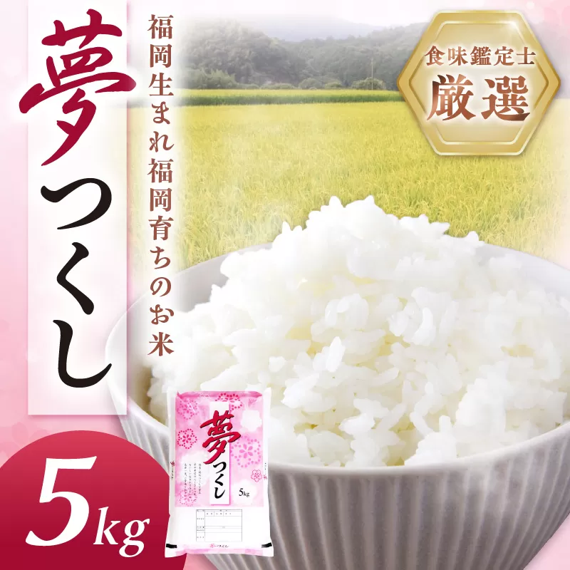 【食味鑑定士厳選】福岡県産夢つくし5kg(5kg×1袋)【039-0005】