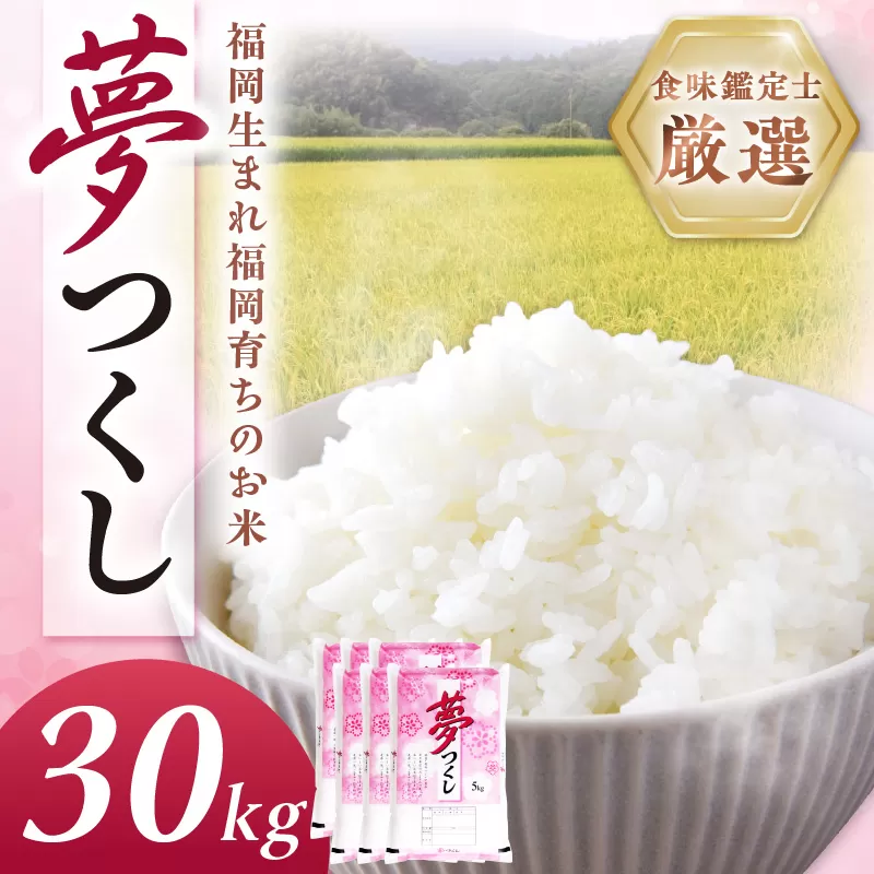 【食味鑑定士厳選】福岡県産夢つくし30kg(5kg×6袋)【039-0009】