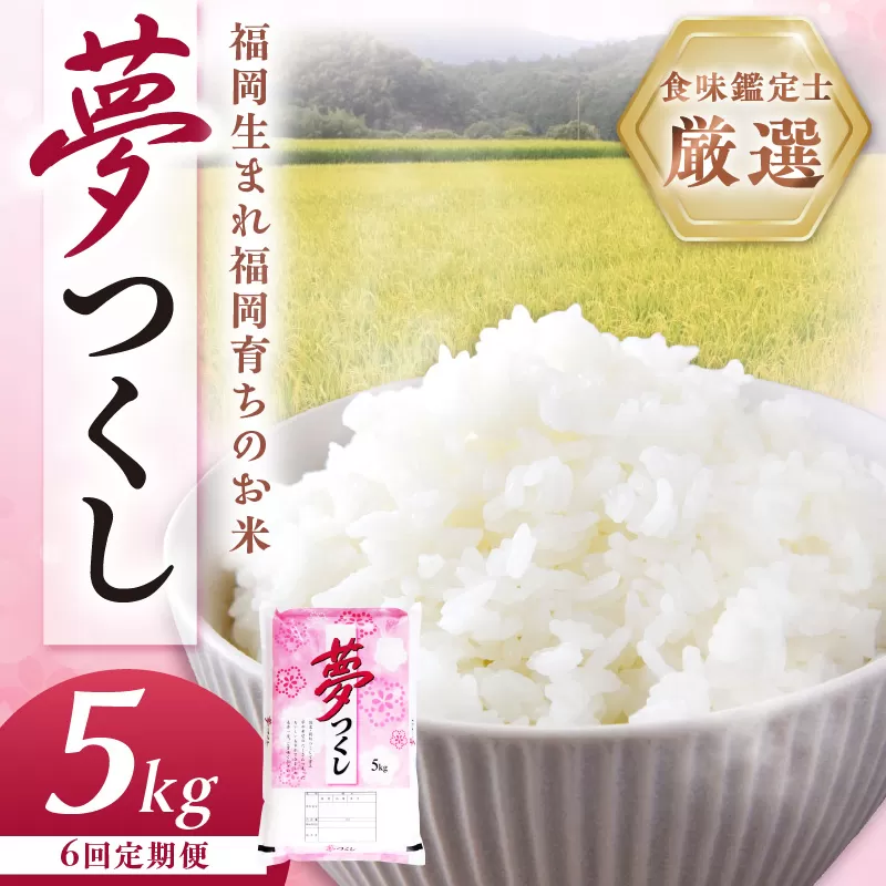 【6回定期便】【食味鑑定士厳選】福岡県産夢つくし5kg(5kg×1袋)【039-0011】