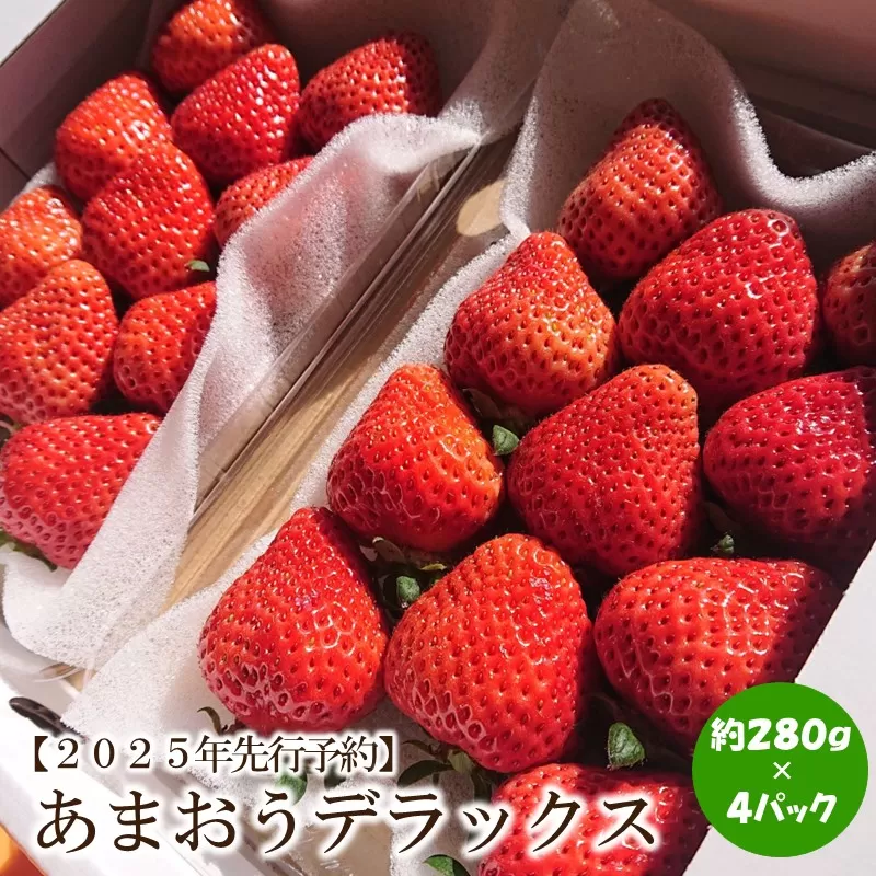 【2025年先行予約】あまおうデラックス(4パック)【044-0012】