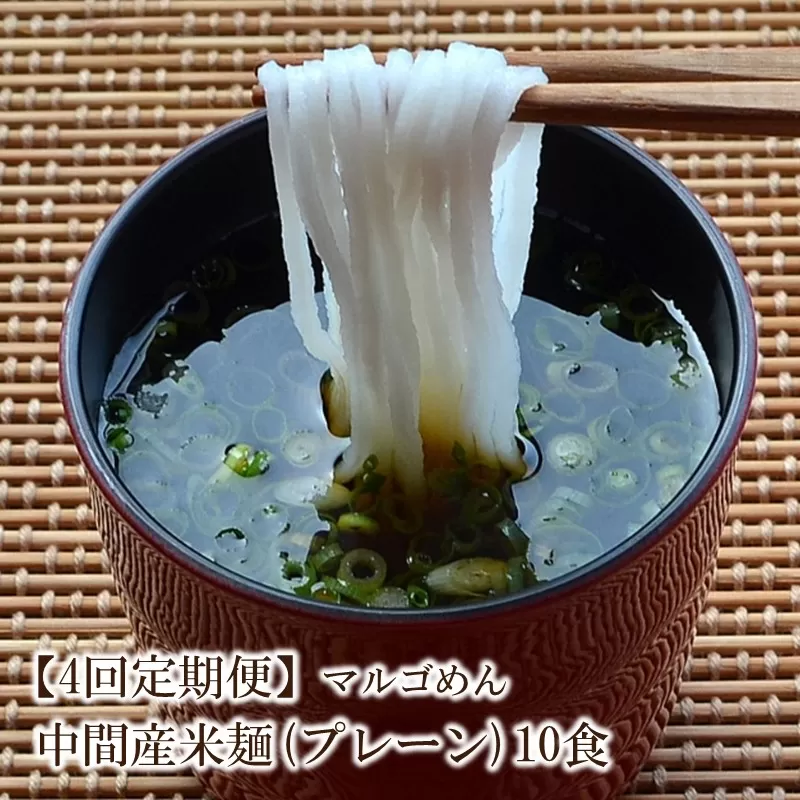 【4回定期便】マルゴめん中間産米麺(プレーン)10食【001-0338】