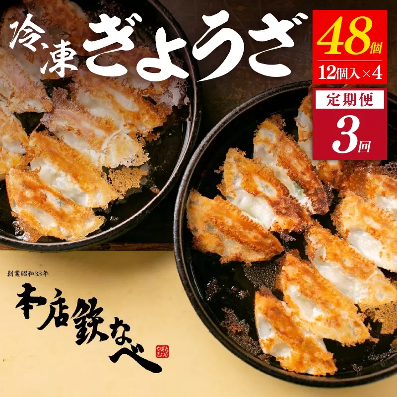 【3回定期便】本店鉄なべ　冷凍ぎょうざ48個入り【040-0006】