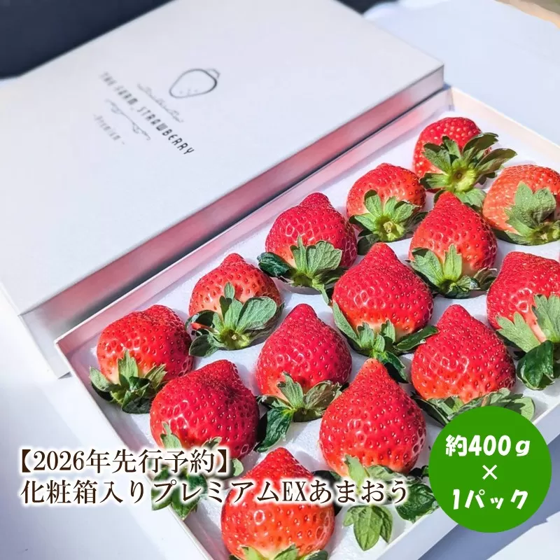 【2026年先行予約】化粧箱入りプレミアムEXあまおう【044-0069】