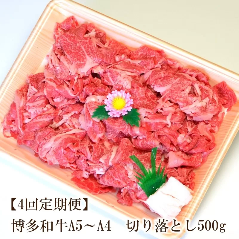 【4回定期便】博多和牛A5〜A4 切り落とし500g【化粧箱入】【001-0180】