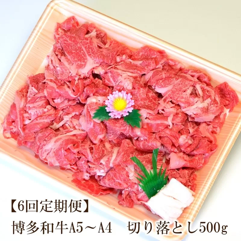 【6回定期便】博多和牛A5～A4 切り落とし500g【化粧箱入】【001-0363】