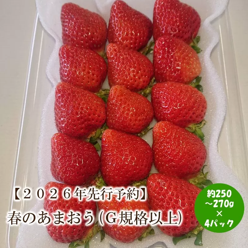 【2026年先行予約】春のあまおう(G規格以上4パック)【044-0064】