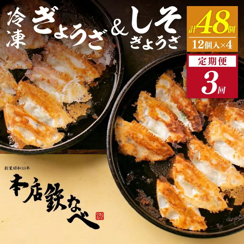 【3回定期便】本店鉄なべ冷凍ぎょうざと冷凍しそぎょうざ48個入り交互にお届け【040-0012】